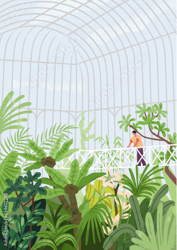 Greenhouse, conservatory with foliage plant. Botanical garden, park with leaf vegetations. Person enjoying nature in glasshouse, orangery with glass transparent roof. Flat vector illustration
