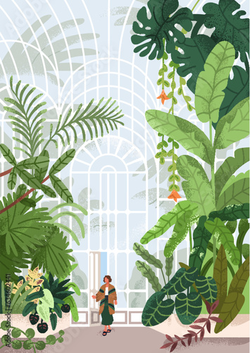 Botanical garden, conservatory with leaf plants. Woman entering into greenhouse park with greenery. Person in glasshouse with glass transparent wall, orangery nature. Flat vector illustration photo
