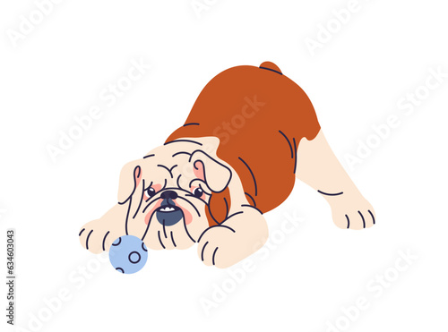 Cute dog playing with ball. Funny puppy, English bulldog breed. Active playfu...