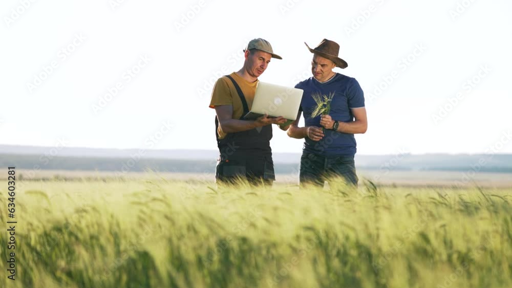 Agriculture.farmer agronomist in wheat field stroking ears of wheat.Concept of teamwork in agricultural business.Farmer with tablet in wheat field harvesting at sunset.Ecological organic wheat Agriculture.farmer agronomist in wheat field stroking ears of wheat.Concept of teamwork in agricultural business.Farmer with tablet in wheat field harvesting at sunset.Ecological organic wheat