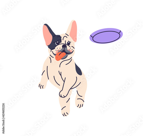Cute dog playing, running and catching frisbee disc. Funny active puppy, Fren...