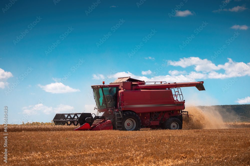 Fototapeta premium Combine harvester machine working in a wheat field