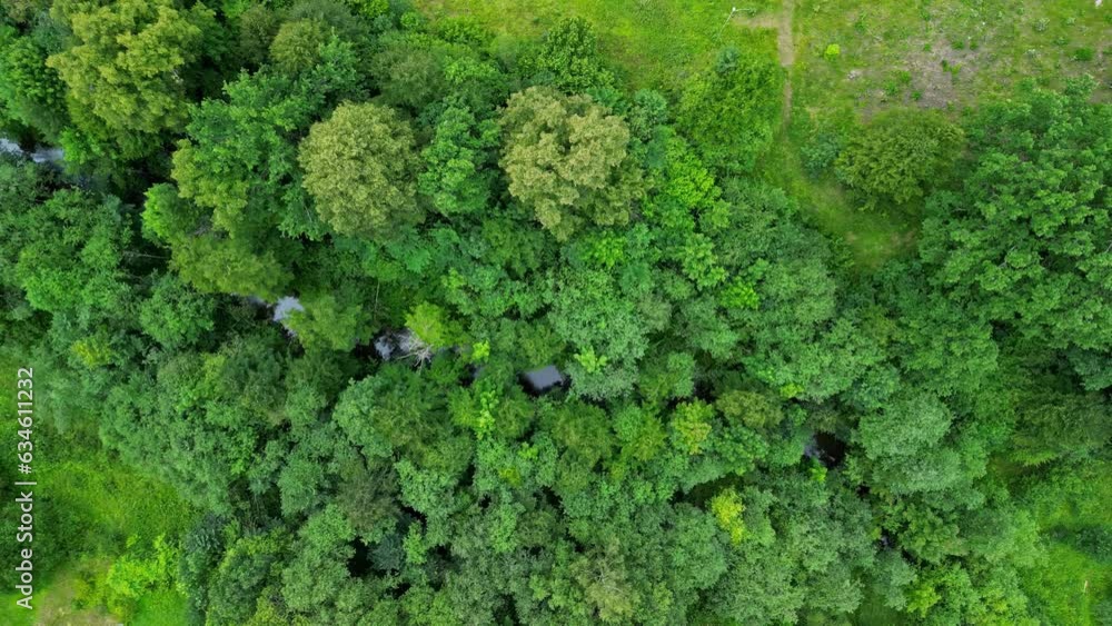A river flowing through the lush green countryside - straight down aerial flyover A river flowing through the lush green countryside - straight down aerial flyover