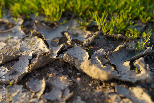 Dry and cracked soil after a drought, green grass nearby. Climate change concept.