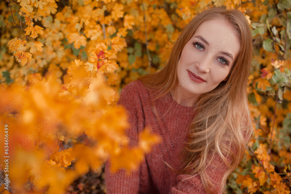 Portrait of a beautiful woman hold the fall leaves and resting in the park. The happy girl wearing knitted sweate Portrait of a beautiful woman hold the fall leaves and resting in the park. The happy girl wearing knitted sweate