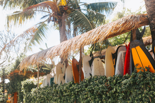Photography Surfboards for surfing under a palm tree and a canopy