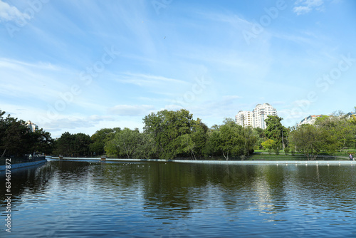 A lake in a local park in summer.
