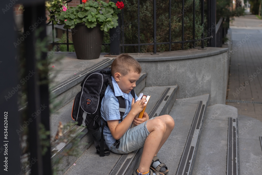 Obraz premium a school boy with school books in his hands sits on the steps of the school