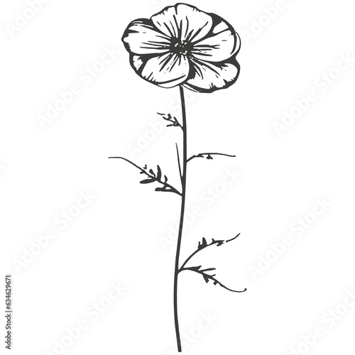 Minimalist chamomile flower tattoo design  lines  minimal  black and white  white background.