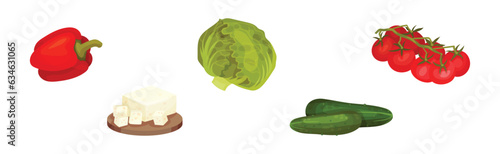 Greek Salad Ingredients with Cabbage, Pepper, Tomato, Cheese and Cucumber Vector Set