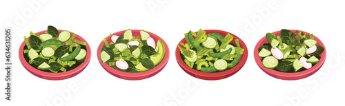 Fresh Green Salad with Vegetables and Herbs in Bowls Vector Set