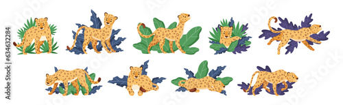 Spotted Leopard or Jaguar with Yellow Skin Among Tropical Leaves Vector Set