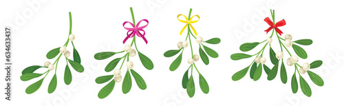 Mistletoe Green Branches with Oblong Leaves and Berries and Ribbon Bow Vector Set