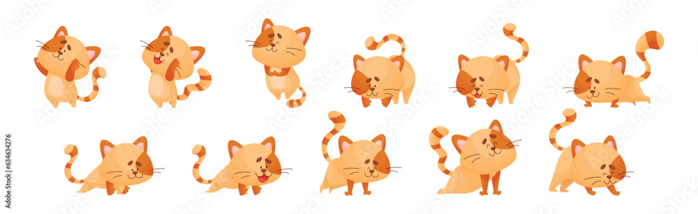Ginger Cat with Striped Tail Doing Yoga Standing in Asana Vector Set