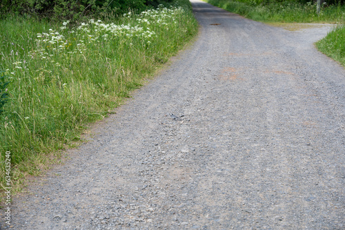 Gravel path with green meadow © Claudia Evans 
