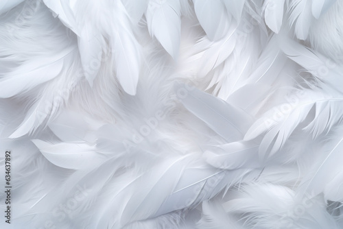 Background with white soft feather texture, concept suitable for sleep and health. photo