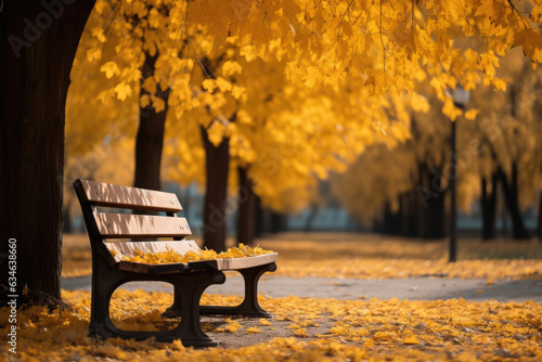 Park bench under autumn leaves