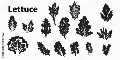 Lettuce set silhouette vector illustration 