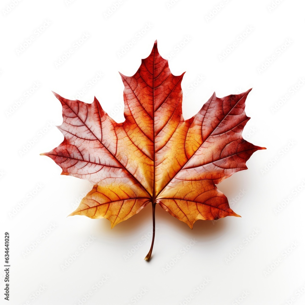 Maple Leaf white background, Generative AI Maple Leaf white background, Generative AI