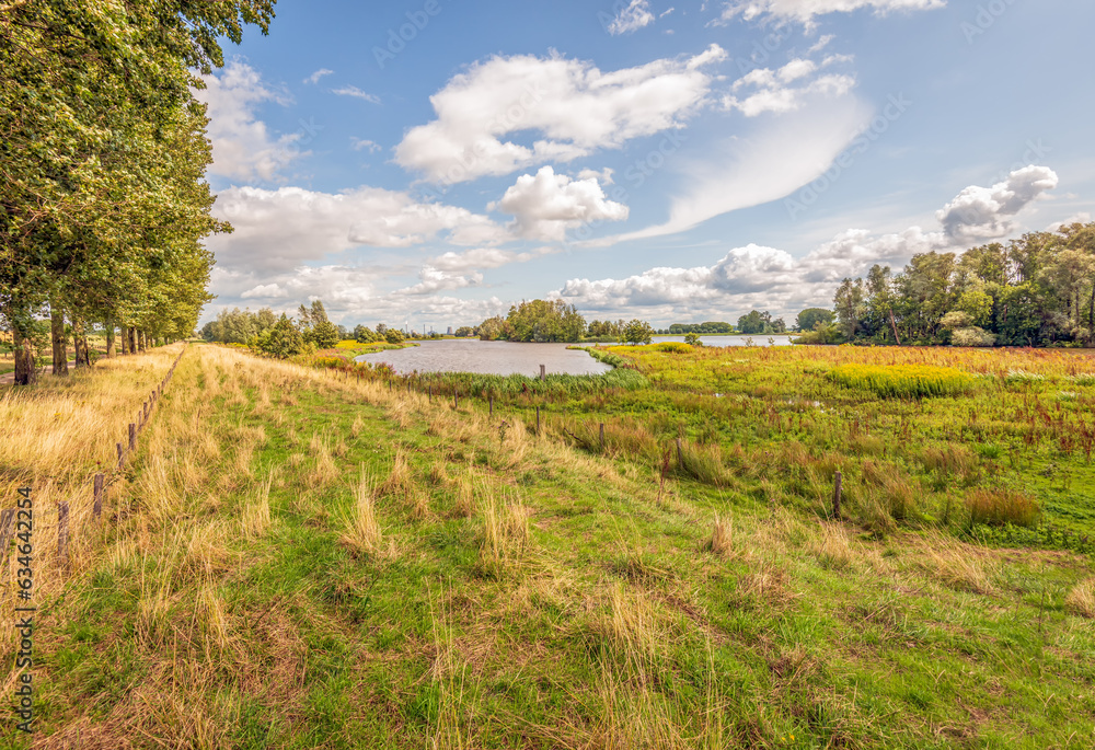 Picturesque overview of a nature reserve in summer season. The photo was taken in the Dutch province of North Brabant. Picturesque overview of a nature reserve in summer season. The photo was taken in the Dutch province of North Brabant.