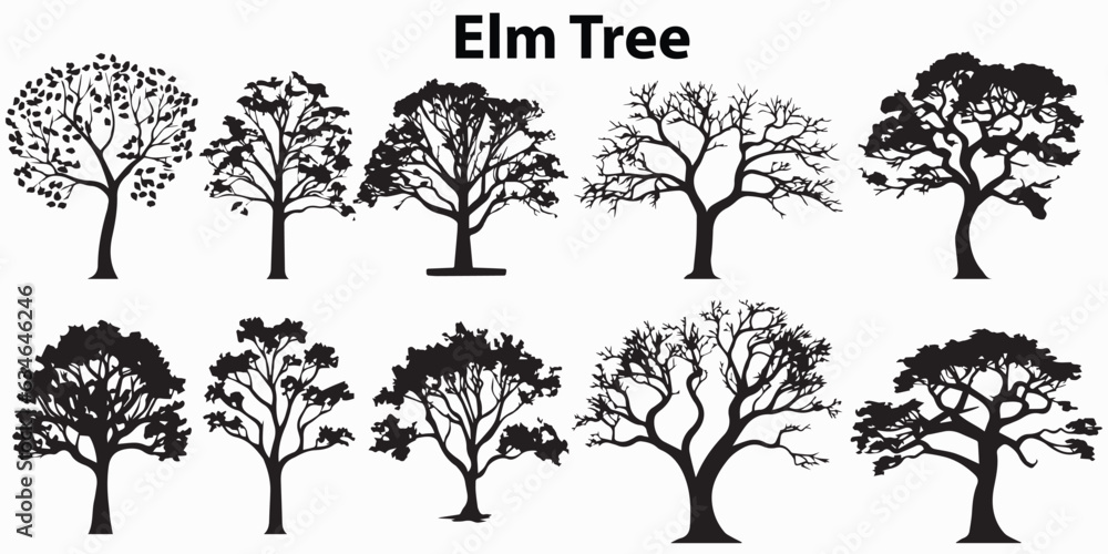 Set of silhouette Elm Tree Vector illustration - obrazy, fototapety, plakaty 