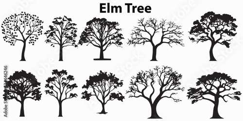 Set of silhouette Elm Tree Vector illustration photo