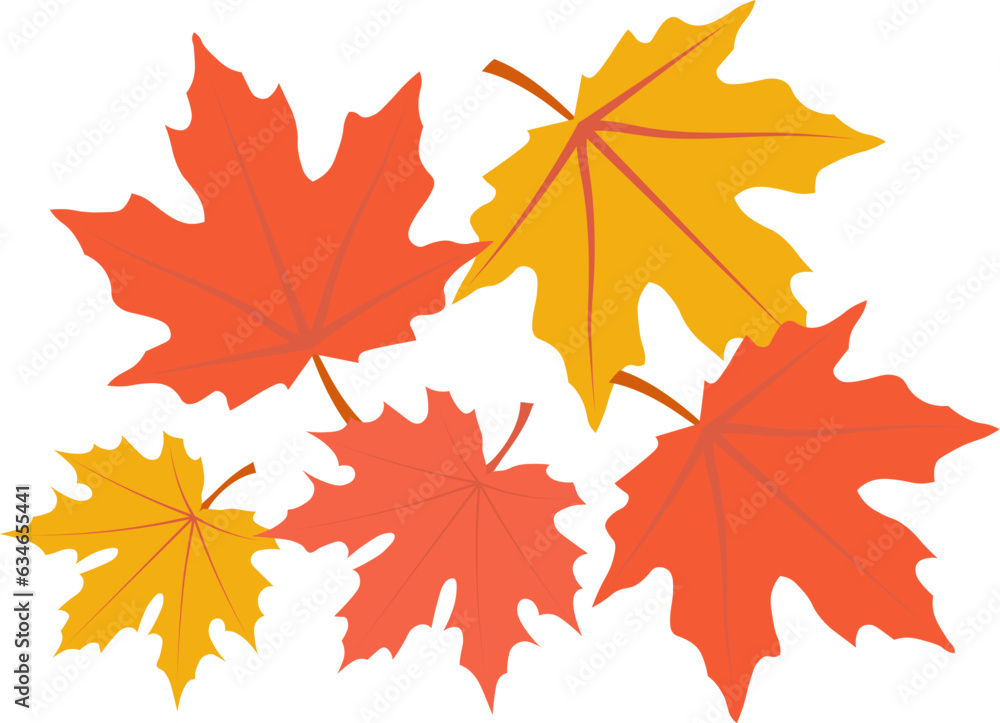 Fototapeta premium Beautiful maple leaves for autumn season design concept element object.