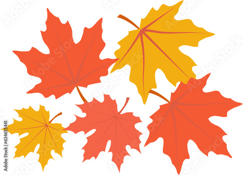 Beautiful maple leaves for autumn season design concept element object.