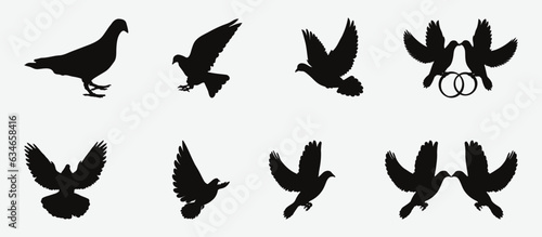 Majestic Dove Bird Silhouettes, Graceful Symbols of Peace and Freedom in Vector Art