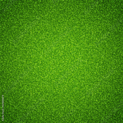 Lawn grass texture background. Vector