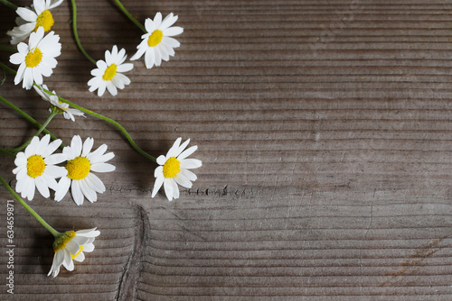 Charming chamomile flowers on a wooden brown board background. © agneskantaruk