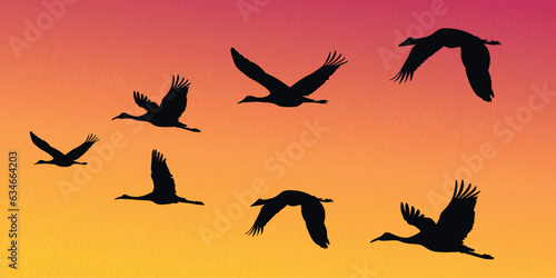 Flock of flying cranes, heron,egret, stork, flamingo
 in a set of vector silhouettes