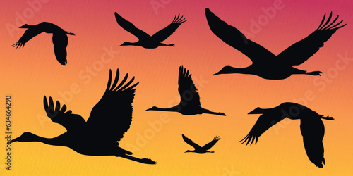 Flock of flying cranes, heron,egret, stork, flamingo  in a set of vector silhouettes © MdJannatul