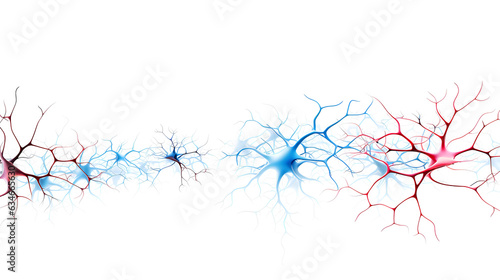 Brain neurons firing in the brain  isolated in white background.