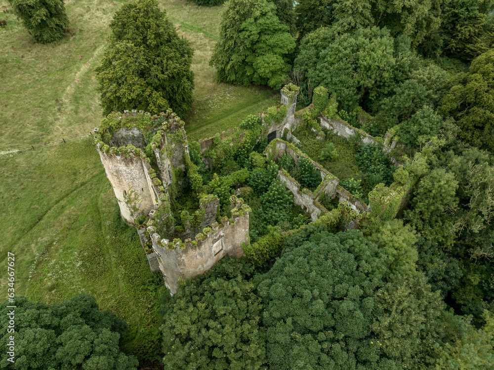 Aerial view of ruined and overgrown Buttevant or Barry's castle on the Awbeg river in County Cork Ireland with large circular towers 
