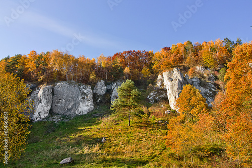 Autumn landscape. A rock in an autumn forest
