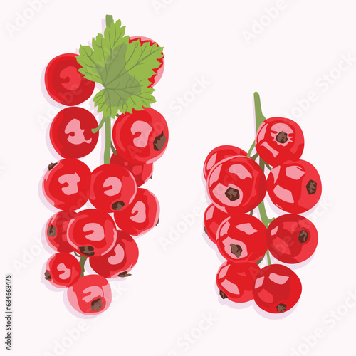 Ripe red currant. Realistic vector icons of summer and autumn berries.