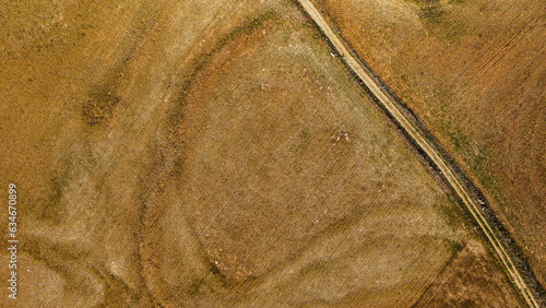 Overhead view  of a rural road in the middle of a wheat field