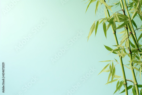 stems and leaves of ripe bamboo on a light green background.  