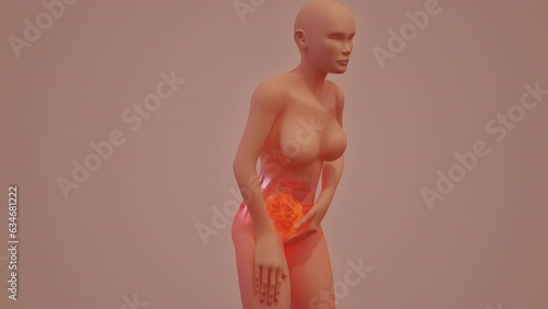 Menstruation pain 3D visualization of semitransparent woman body gestures and pain spot photo