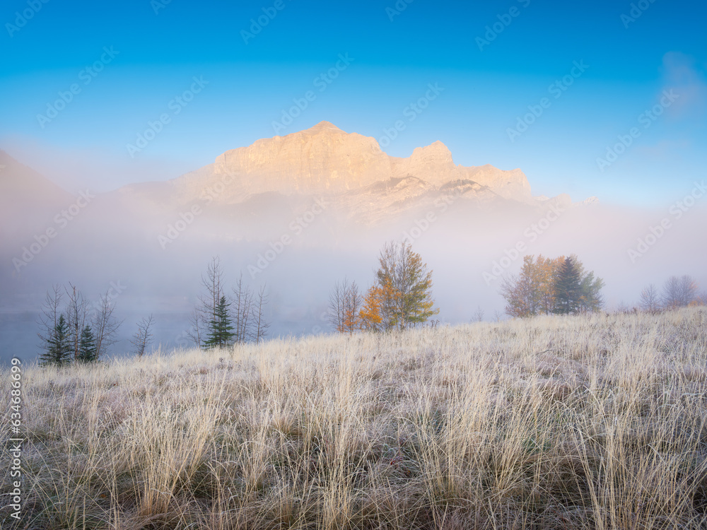 Foggy landscape in the morning. Mountain peak. Sunbeams in a valley. Field in a mountain valley at dawn. Sunlight in the forest. Natural landscape.
