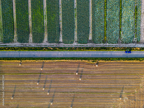 field with straw bales after harvest