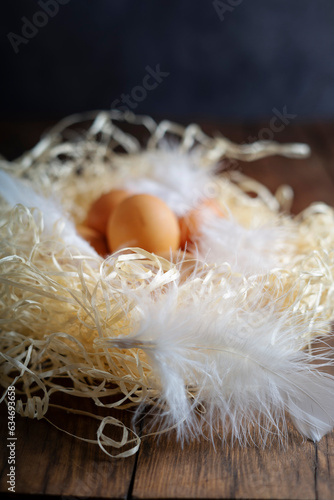 Brown raw chicken eggs and white feathers in a nest on a wooden background.