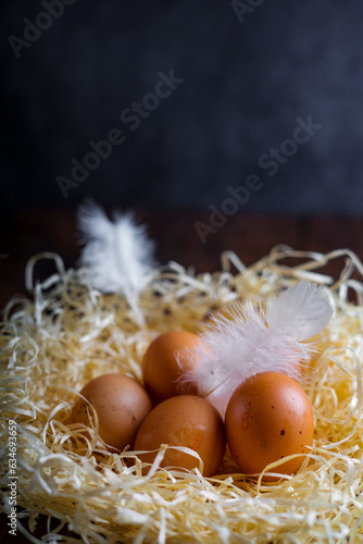 Brown raw chicken eggs and white feathers in a nest on a wooden background.