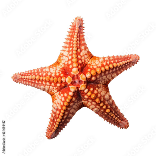An orange starfish isolated on a transparent background
