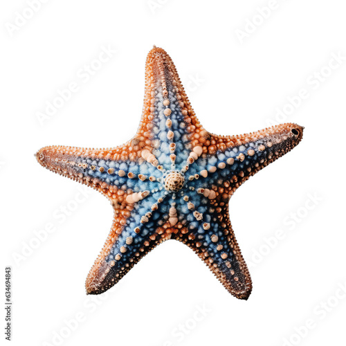 An orange and blue starfish isolated on a transparent background
