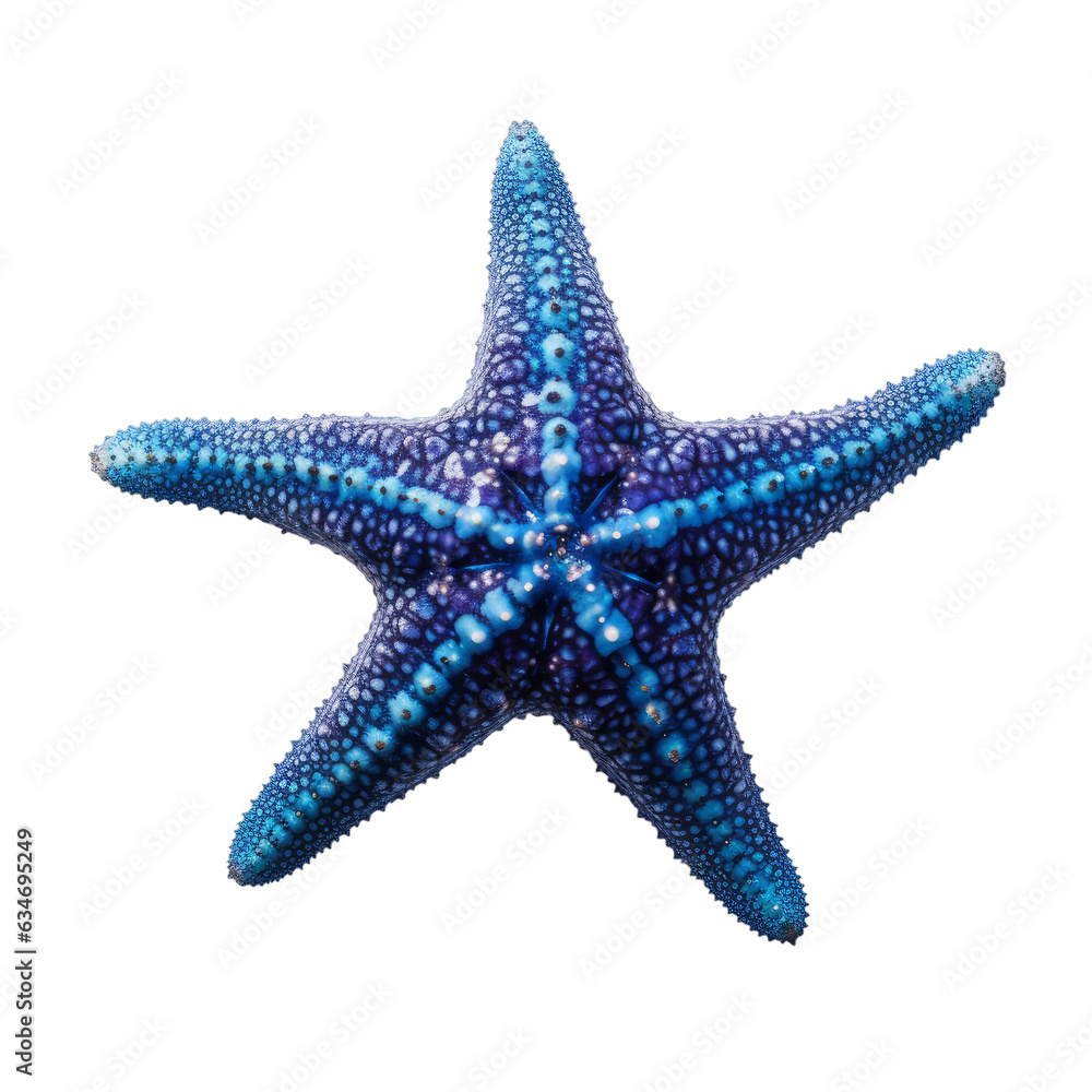 A blue starfish isolated on a transparent background A blue starfish isolated on a transparent background