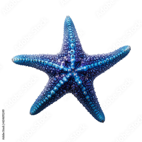 A blue starfish isolated on a transparent background