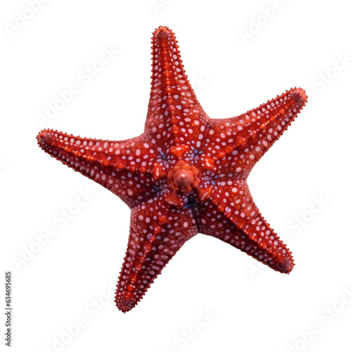 A red starfish isolated on a transparent background