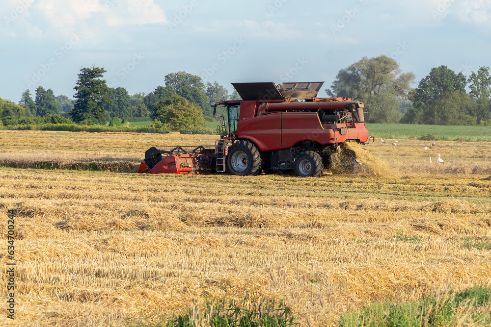 Fototapeta premium Combine harvester at work